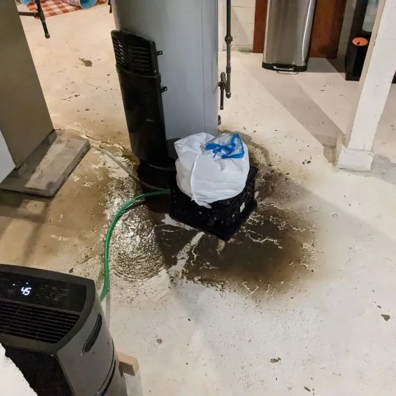 Sewage Backup Cleanup Service in Magee, MS